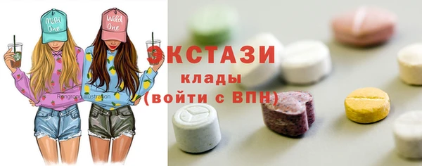 стаф Каменка