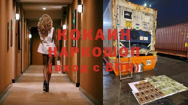стаф Каменка