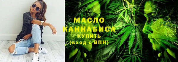 стаф Каменка