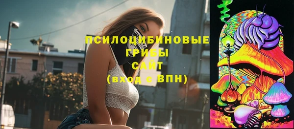 стаф Каменка