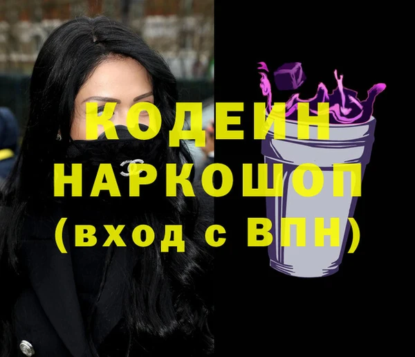 стаф Каменка