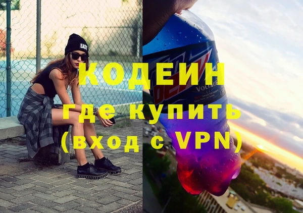стаф Каменка