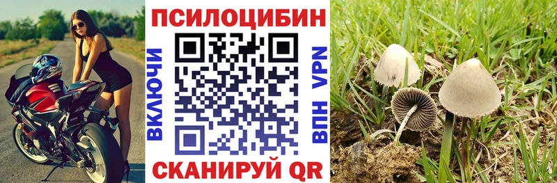 Купить закладки  Зверево  Псилоцибиновые грибы GOLDEN TEACHER 